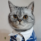 张总